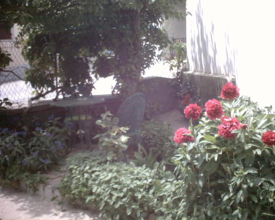 Vaque Les Angles Apartment Phòng bức ảnh
